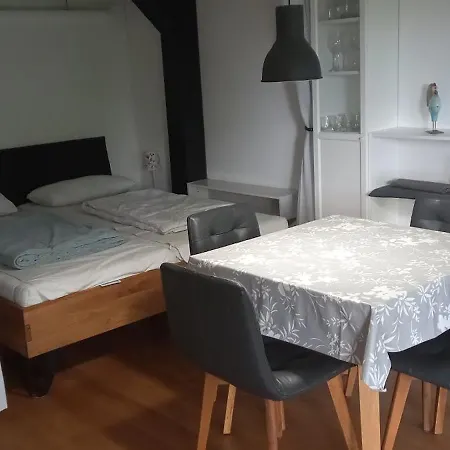 Vorauf Begonie 5 *