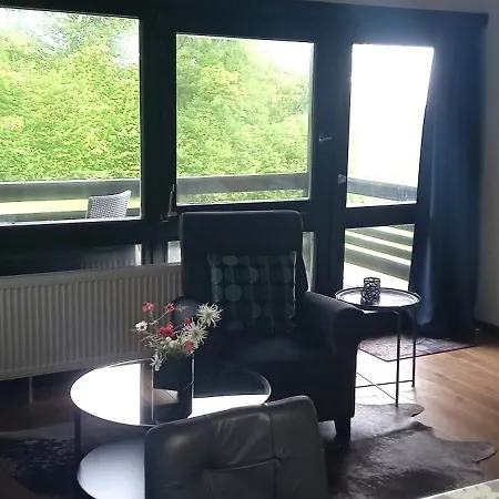 Vorauf Begonie 5 *