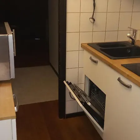 Vorauf Begonie 5 Siegsdorf
